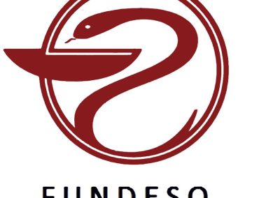 Juntos decidimos planear